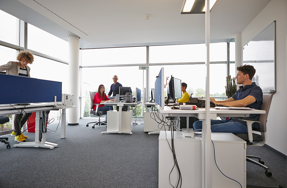 Como crear un entorno de trabajo saludable